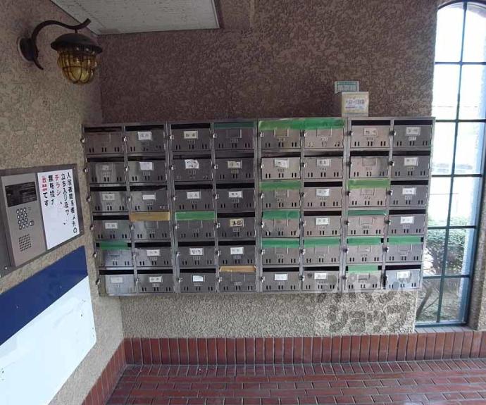 【メゾン墨染】間取