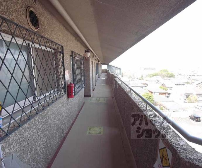 【メゾン墨染】間取