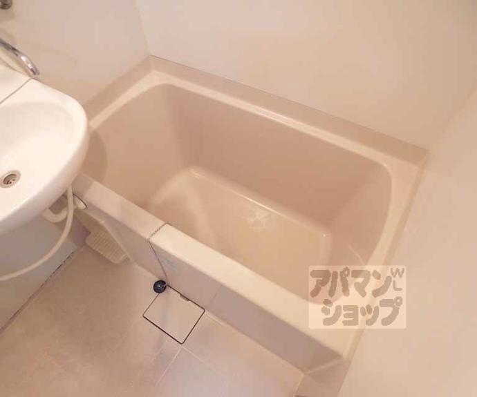 【ＳＯＭＮＩＵＭ】間取