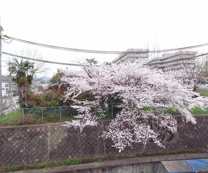 【ＳＯＭＮＩＵＭ】間取