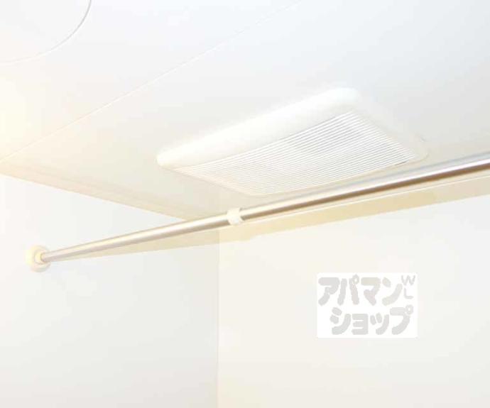 【ラフィーネ九条】間取