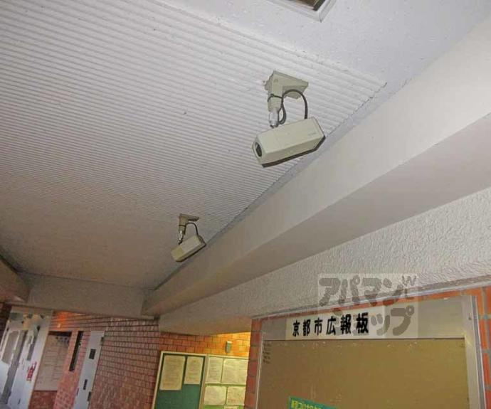 【向島ニュータウン 3街区 D棟】