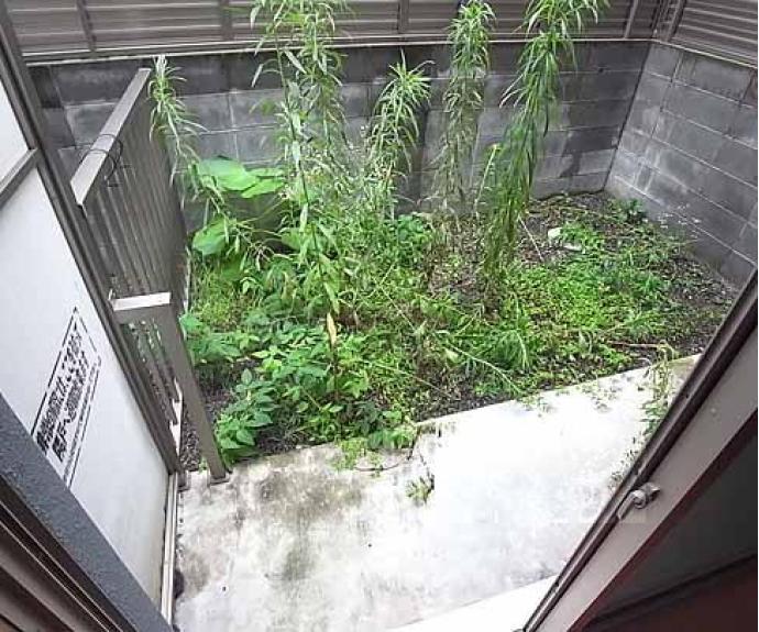 【レイーナ深草】間取