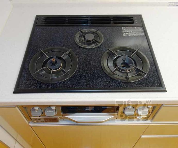 【パインフィールド七条】間取