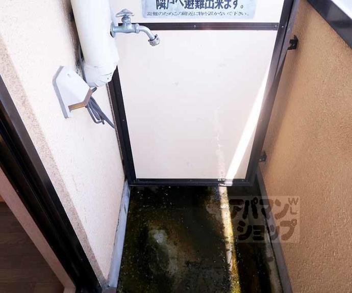 【プレールハイム大宮】間取