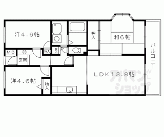 【レオパルド】