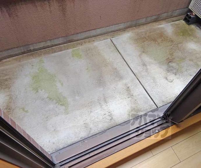 【SHICATA SIX BLDG】間取