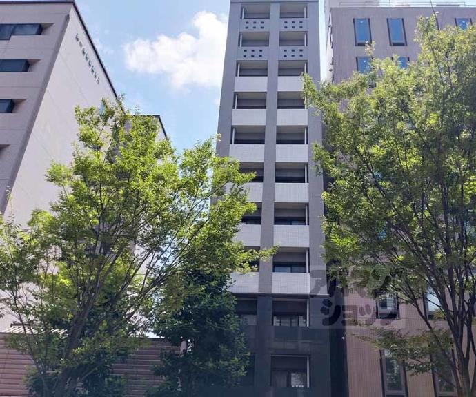 【アスヴェル京都二条烏丸】間取