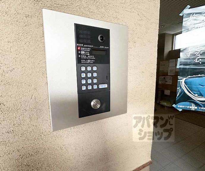 【Caldo Pino】間取