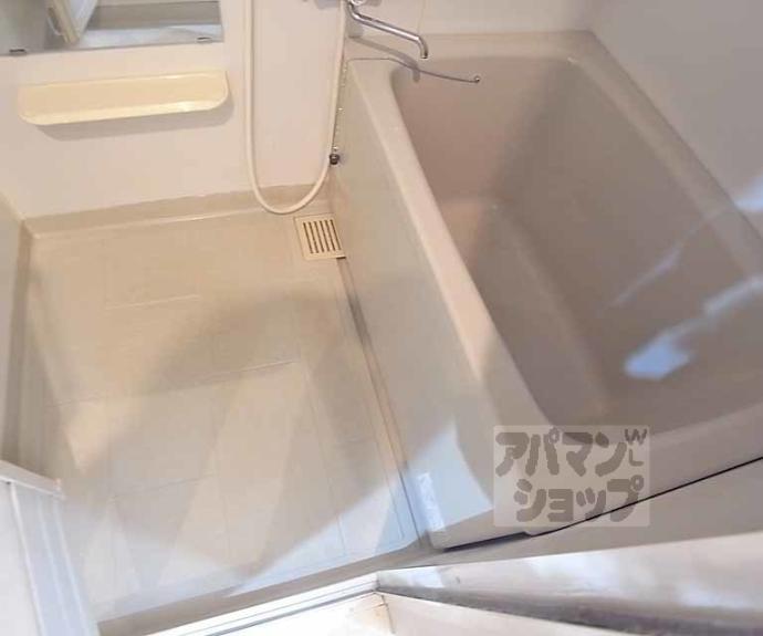 【Ｃａｌｄｏ　Ｐｉｎｏ】間取