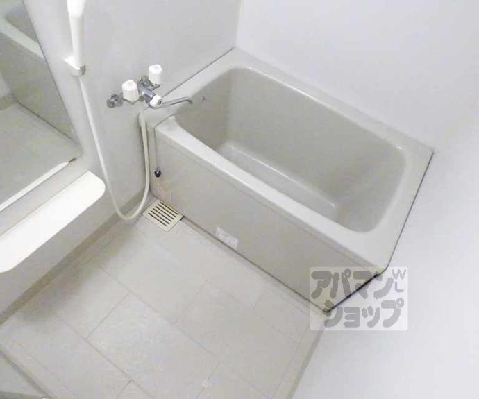 【Caldo Pino】間取