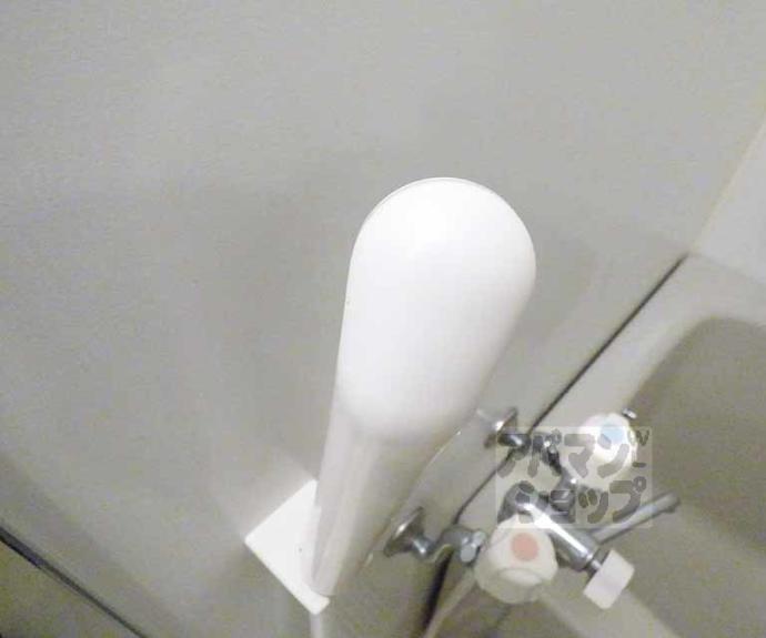 【Caldo Pino】間取