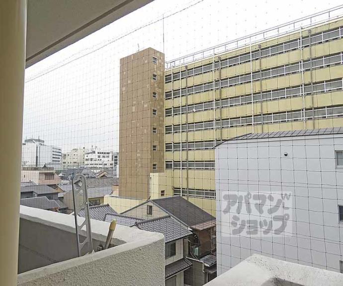 【デイスターアベニュー】間取