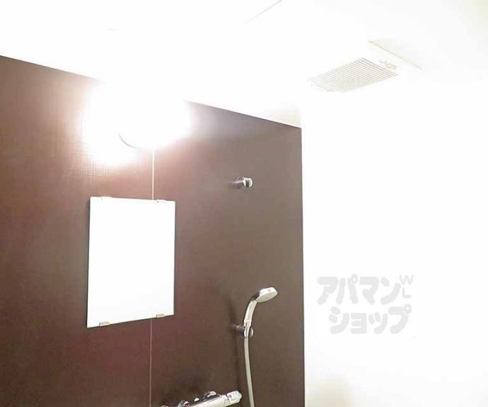 【デイスターアベニュー】間取
