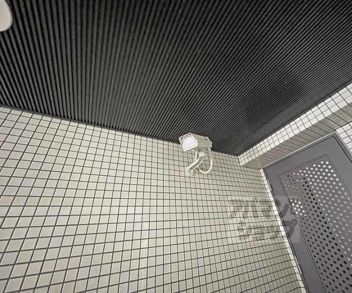 【御幸町パークハイム】間取