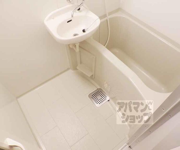 【トゥルー西ノ京】間取
