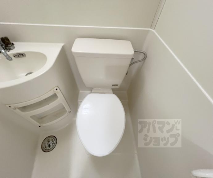 【カーサデ河原町】間取