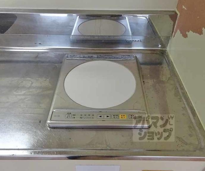 【カーサデ河原町】間取