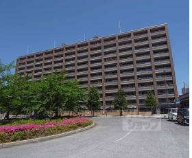 ファミール二条ステーションサイド：間取図