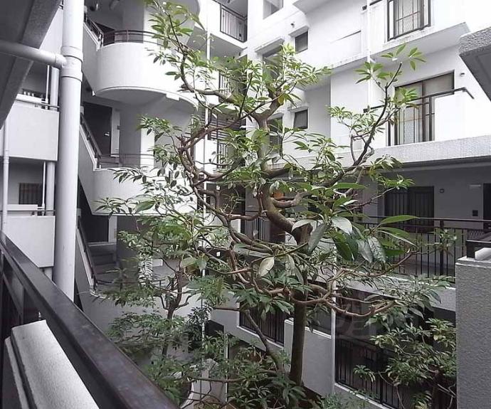 【ロワイヤル室町】間取