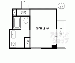 【ピュアコート錦】