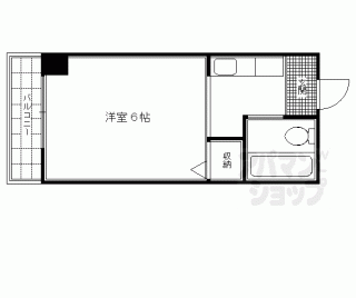 【ピュアコート錦】