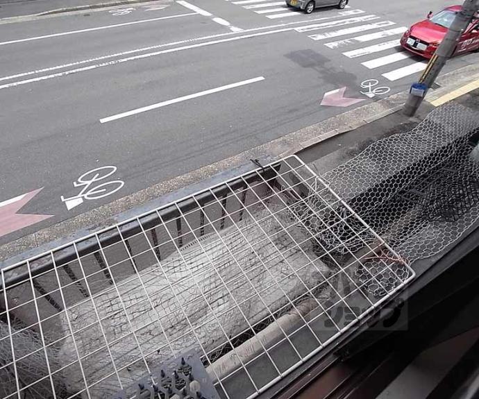 【プチモンド京都】間取