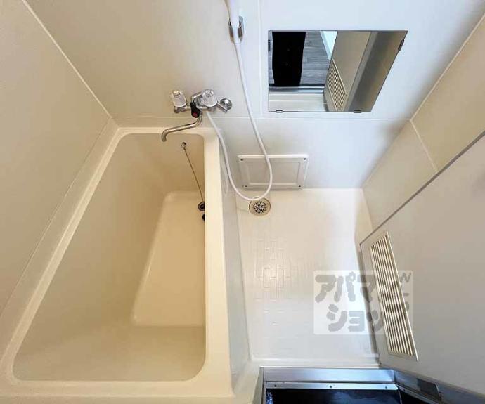 【グランディール錦】