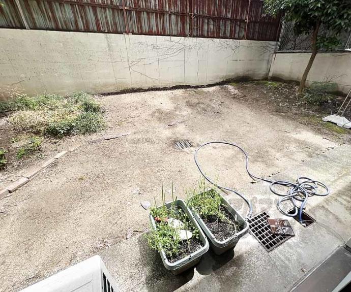 【グランディール錦】