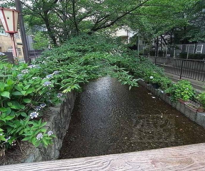 【ベルヴィ高瀬川】間取