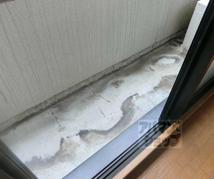 【ドマーレ府庁前】間取