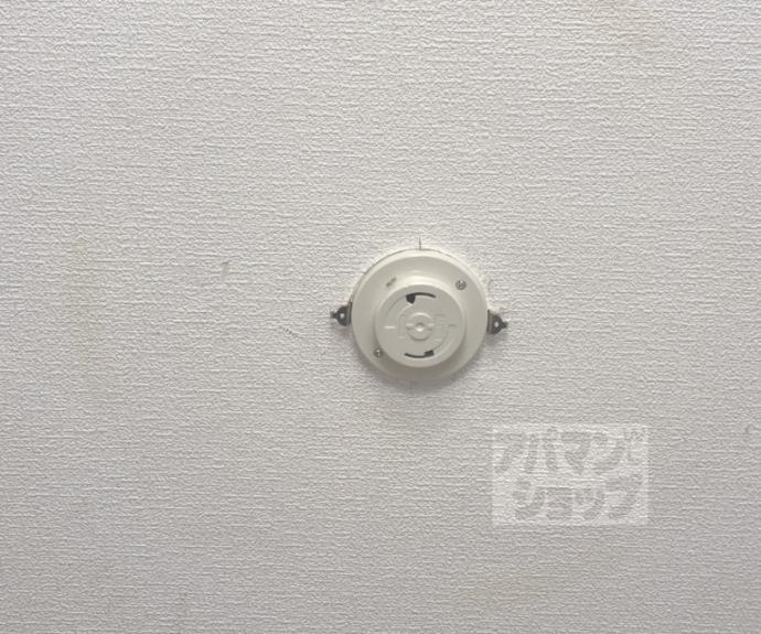 【ウエストコート智恵光院】間取