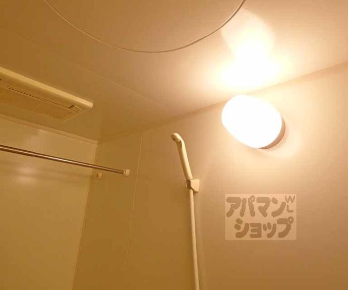 【ワイズコート】間取