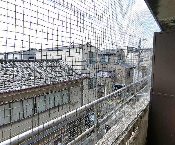 【アートセレナ坊城】間取