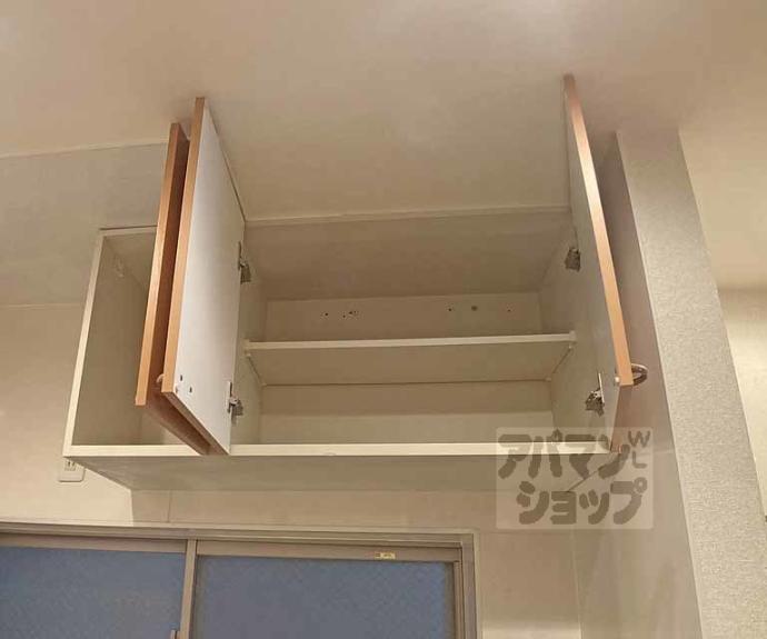 【CarlVillaⅡ】間取