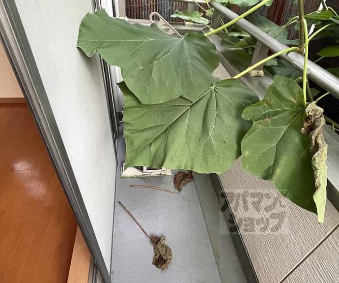 【ハイツ西村】間取