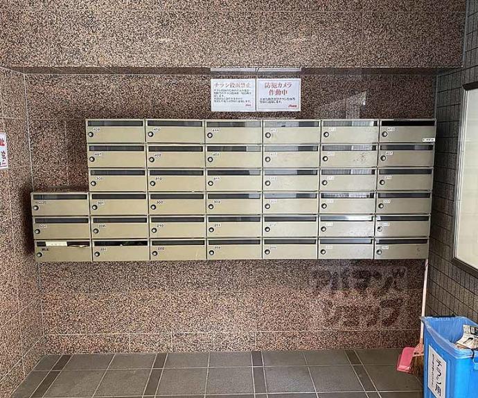 【井筒ハイム】間取