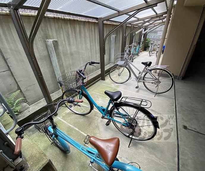 【井筒ハイム】間取