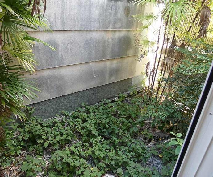 【シャンテ西洞院】間取