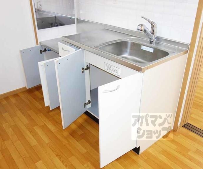 【ロイヤルシティーAYA】間取