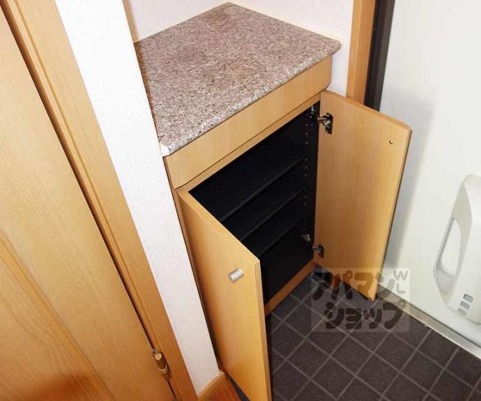 【ロイヤルシティーAYA】間取