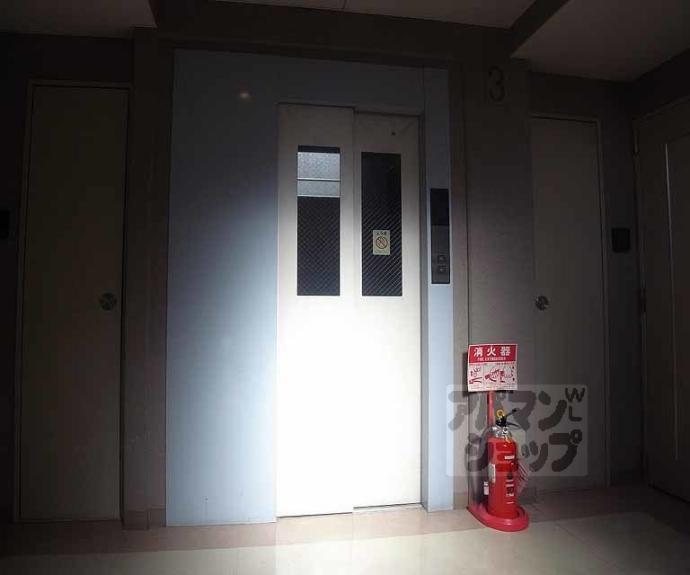 【ヴィーグルヤマダ】間取