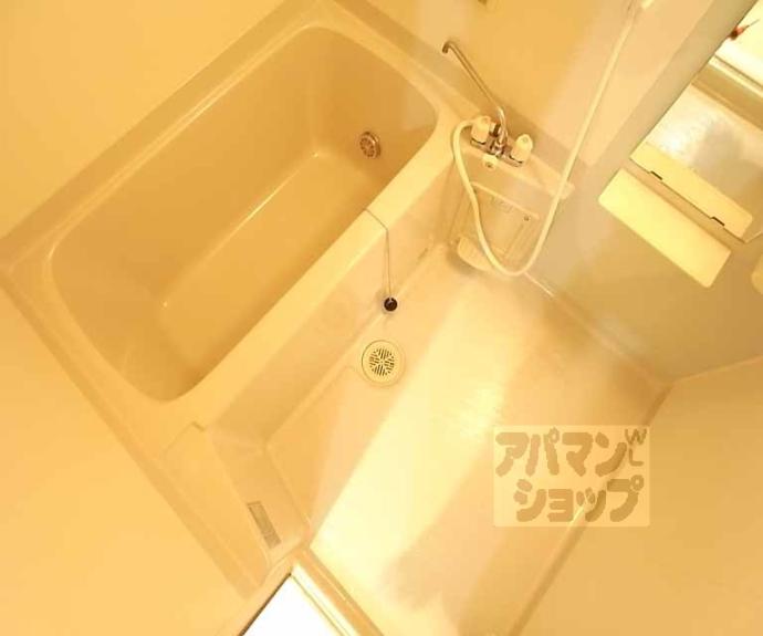 【ヴィラ・グレイス】間取