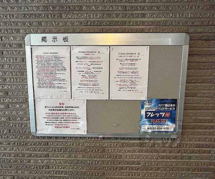 【バインオークネクト】間取