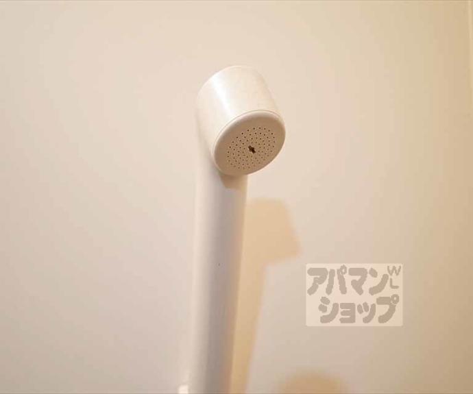 【ハイム近衛】間取