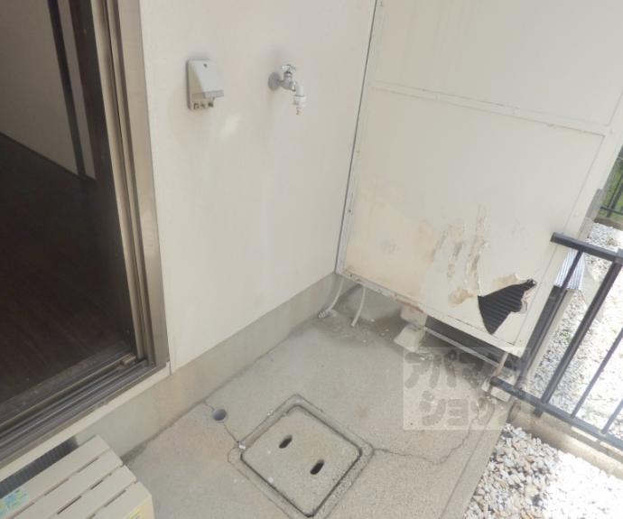 【メガロンフィリア】間取