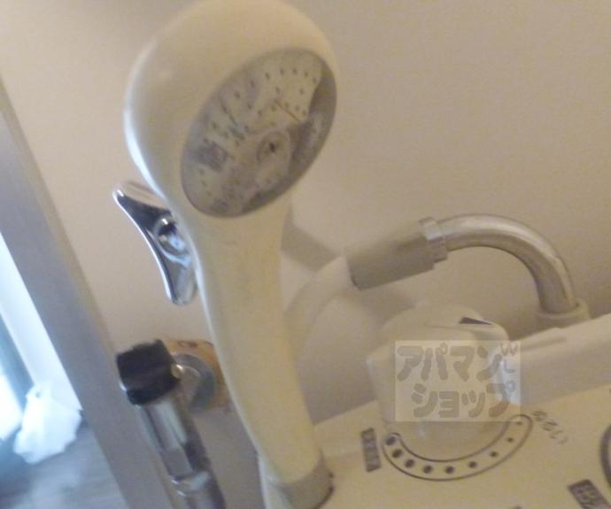 【メガロンフィリア】間取