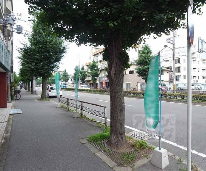 【セラヴィー119】