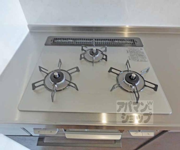 【セラヴィー１１９】間取