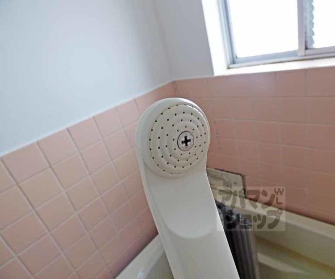 【コーポラス吉田】間取